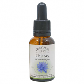 Floral Chicory 20 ml