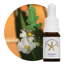 Floral Flor Branca 10 ml