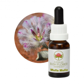 Floral Mulla Mulla 15 ml