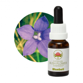 Floral Bluebell 15 ml
