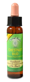 Floral Chestnut Bud 10 ml