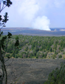 Essncia Ambiental Caldera