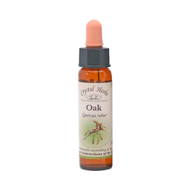 Oak Floral de Bach 10 ml