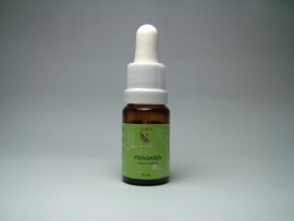 Floral Fragaria 10 ml