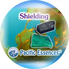 Shielding Proteo 25 ml