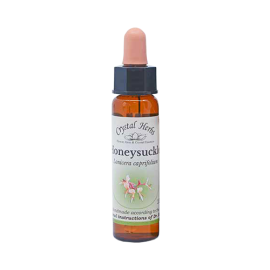 Floral Honeysuckle 10 ml