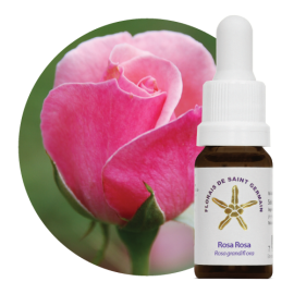 Floral Rosa Rosa SG 10 ml