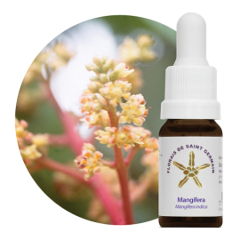 Floral Mangfera 10 ml