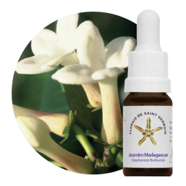 Floral Jasmim Madagascar 10 ml