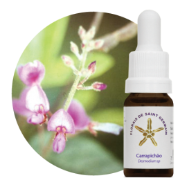 Floral Carrapicho 10 ml