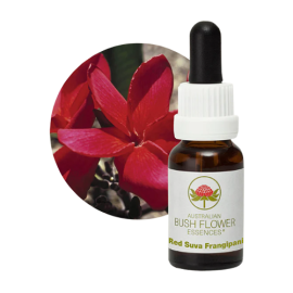 Floral Red Suva Frangipani 15 ml