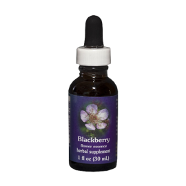 Blackberry Floral da Califrnia 30 ml