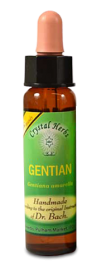 Floral Gentian 10 ml