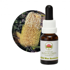 Floral Old Man Banksia 15 ml