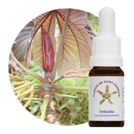 Floral Embaba 10 ml