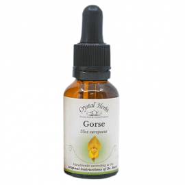 Floral Gorse 20 ml