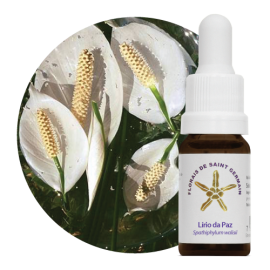 Floral Lrio da Paz 10 ml