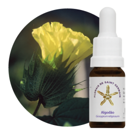 Floral Algodo 10ml