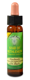 Floral Star of Bethlehem 10ml