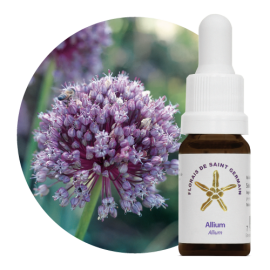 Floral Allium 10 ml