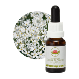 Floral Wedding Bush 15 ml