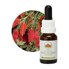 Floral Bottlebrush 15 ml