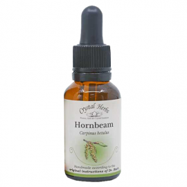 Floral Hornbeam 20 ml