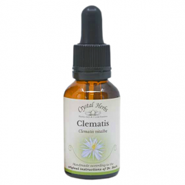 Floral Clematis 20 ml