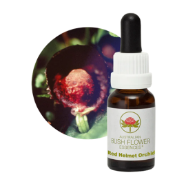 Floral Red Helmet Orchid 15 ml