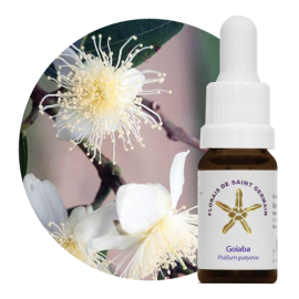 Floral Goiaba 10 ml