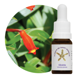 Floral Gloxnia 10 ml