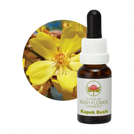 Floral Kapok Bush 15 ml