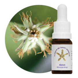 Floral Abric 10 ml