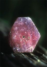 Essncia Mineral Sapphire Ruby 
