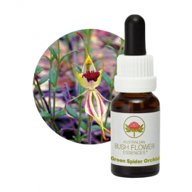 Floral Green Spider Orchid 15 ml