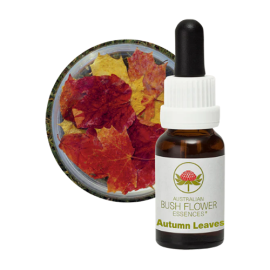 Floral Autumn Leaves 15 ml