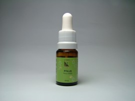 Floral Pinus 10 ml