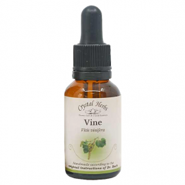 Floral Vine 20 ml