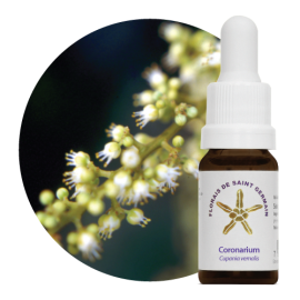 Floral Coronarium 10ml