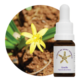 Floral Gracilis 10 ml