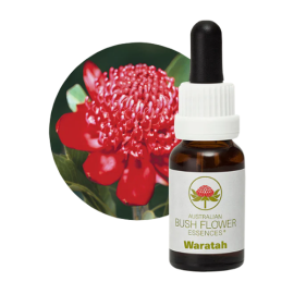 Floral Waratah 15 ml