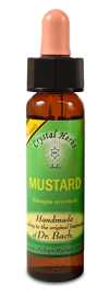 Floral Mustard 10 ml