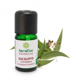 leo Essencial Eucalipto Citriodora 10ml