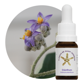 Floral Erianthum 10 ml