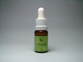 Floral Phyllanthus 10 ml