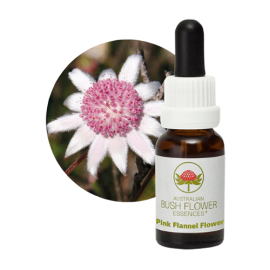 Floral Pink Flannel Flower 15 ml