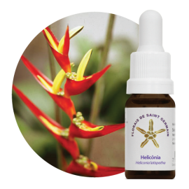 Floral Helicnia 10 ml