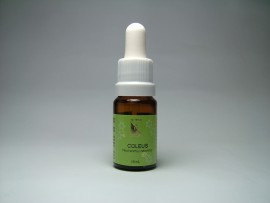 Floral Coleus 10 ml