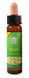 Floral Olive 10 ml