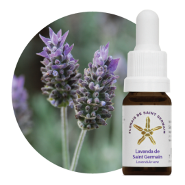 Floral Lavanda de Saint Germain 10 ml